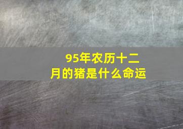 95年农历十二月的猪是什么命运