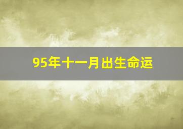 95年十一月出生命运