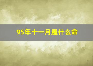 95年十一月是什么命