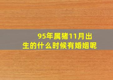 95年属猪11月出生的什么时候有婚姻呢