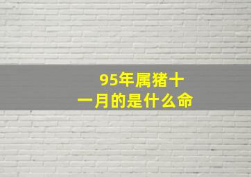 95年属猪十一月的是什么命