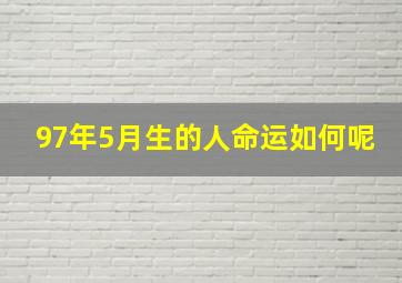 97年5月生的人命运如何呢