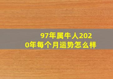 97年属牛人2020年每个月运势怎么样