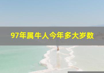 97年属牛人今年多大岁数