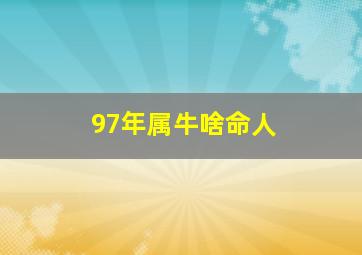 97年属牛啥命人