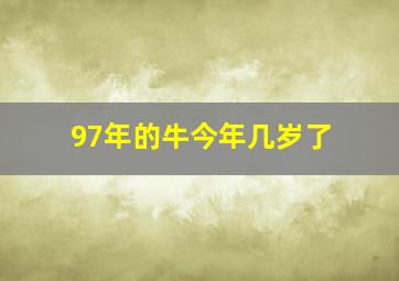 97年的牛今年几岁了