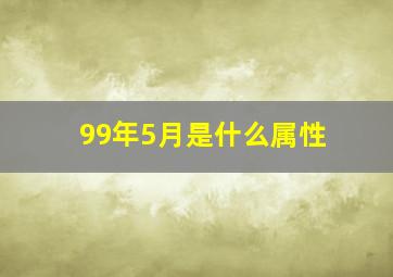 99年5月是什么属性