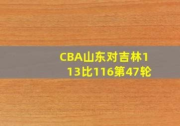 CBA山东对吉林113比116第47轮