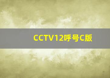 CCTV12呼号C版