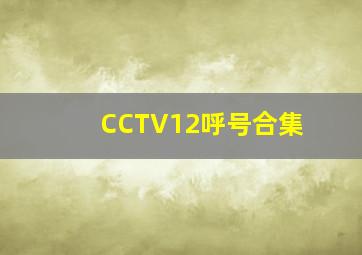 CCTV12呼号合集