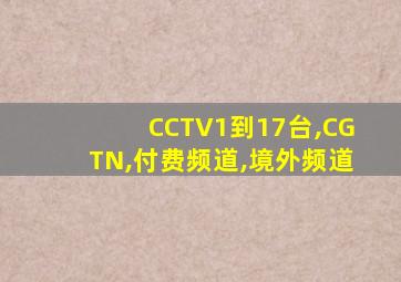 CCTV1到17台,CGTN,付费频道,境外频道