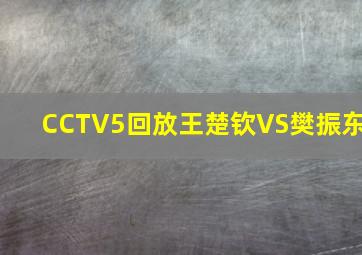 CCTV5回放王楚钦VS樊振东