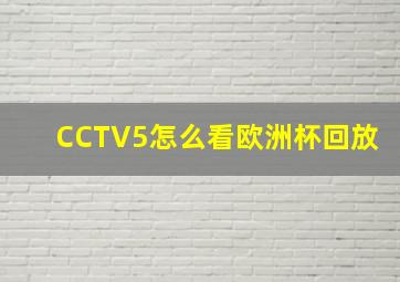 CCTV5怎么看欧洲杯回放