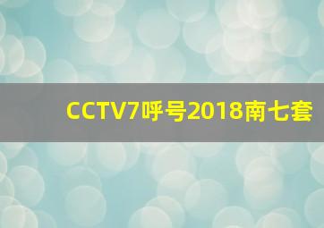 CCTV7呼号2018南七套