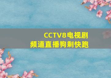 CCTV8电视剧频道直播狗剩快跑