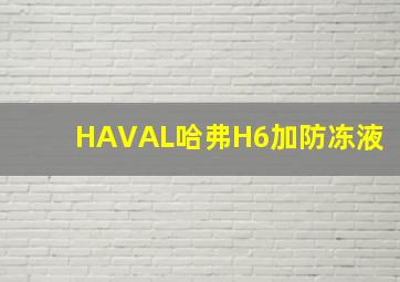 HAVAL哈弗H6加防冻液