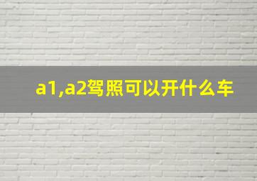 a1,a2驾照可以开什么车