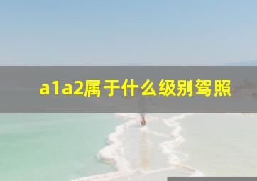 a1a2属于什么级别驾照