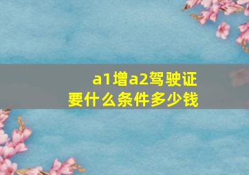 a1增a2驾驶证要什么条件多少钱