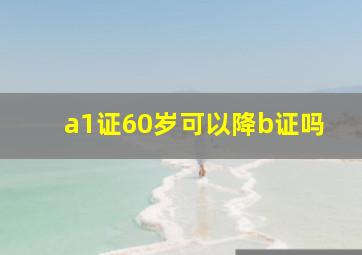 a1证60岁可以降b证吗