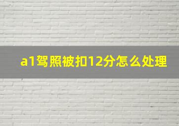 a1驾照被扣12分怎么处理