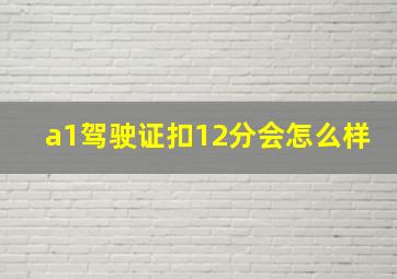 a1驾驶证扣12分会怎么样