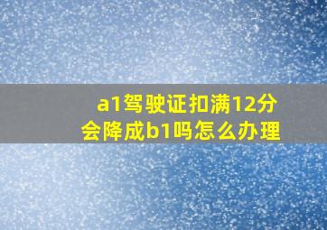 a1驾驶证扣满12分会降成b1吗怎么办理