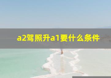 a2驾照升a1要什么条件