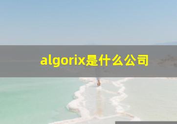 algorix是什么公司