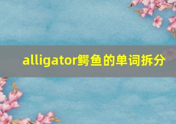 alligator鳄鱼的单词拆分