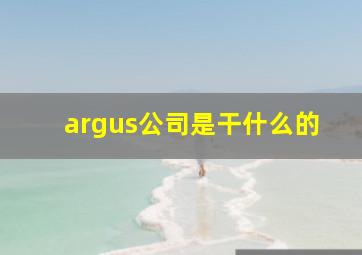 argus公司是干什么的