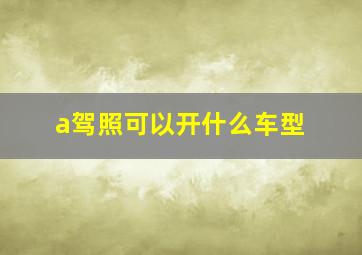 a驾照可以开什么车型