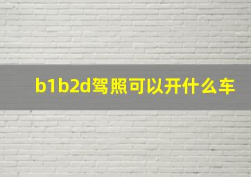 b1b2d驾照可以开什么车