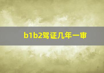 b1b2驾证几年一审