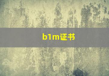 b1m证书