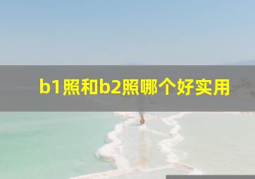 b1照和b2照哪个好实用