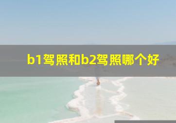 b1驾照和b2驾照哪个好