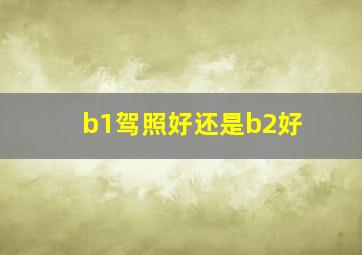 b1驾照好还是b2好