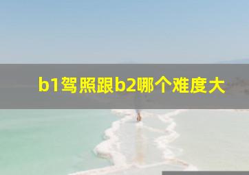 b1驾照跟b2哪个难度大