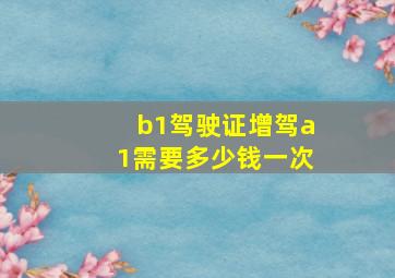 b1驾驶证增驾a1需要多少钱一次