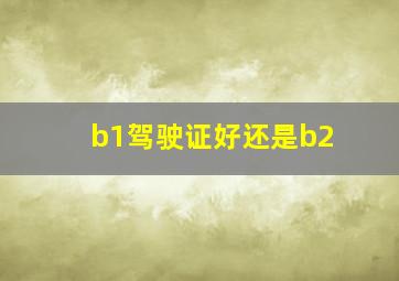 b1驾驶证好还是b2