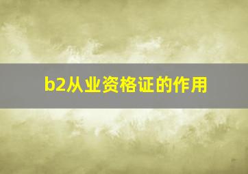 b2从业资格证的作用