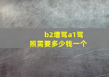 b2增驾a1驾照需要多少钱一个