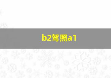 b2驾照a1