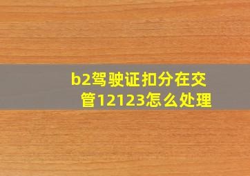 b2驾驶证扣分在交管12123怎么处理