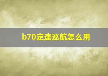 b70定速巡航怎么用