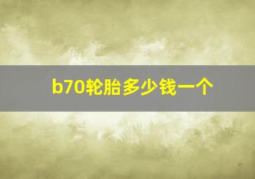 b70轮胎多少钱一个