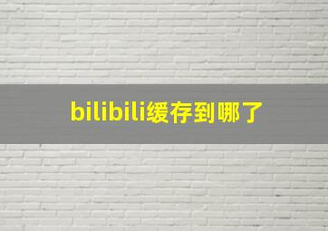 bilibili缓存到哪了