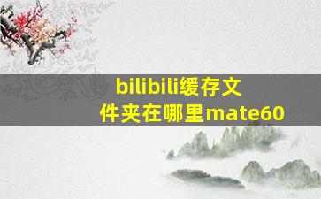 bilibili缓存文件夹在哪里mate60