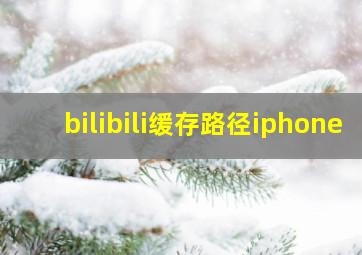 bilibili缓存路径iphone